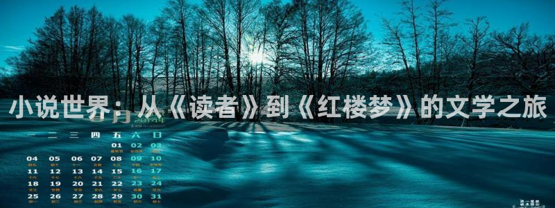 成人午夜小说网