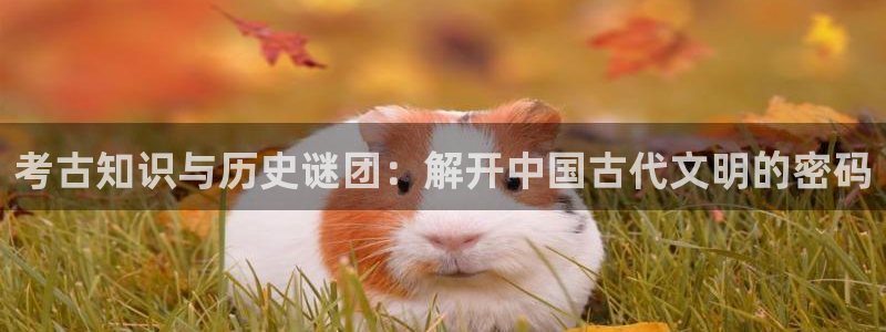 神马午夜小说