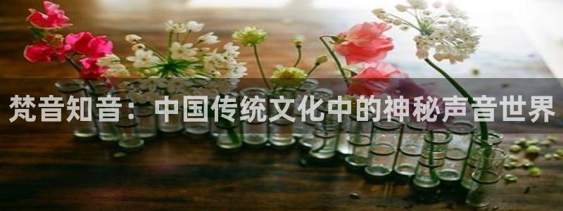 婷婷午夜小说
